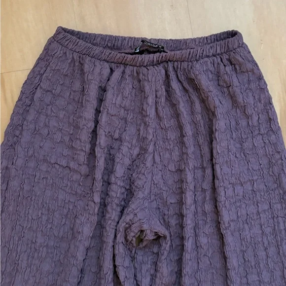 Zara Textured Balloon Pants - Picture 3 of 5